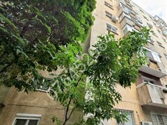 Tineretului, Calea Vacaresti, la 5 minute metrou Timpuri Noi, loc parcare